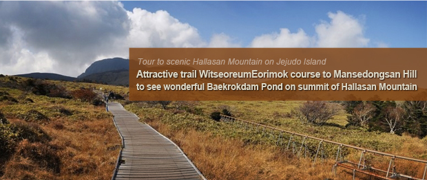 Attractive trail WitseoreumEorimok course to Mansedongsan Hill to see wonderful Baekrokdam Pond on summit of Hallasan Mountain 