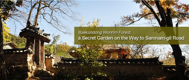 Baekundong Wonrim Forest, a Secret Garden on the Way to Samnam-gil Road