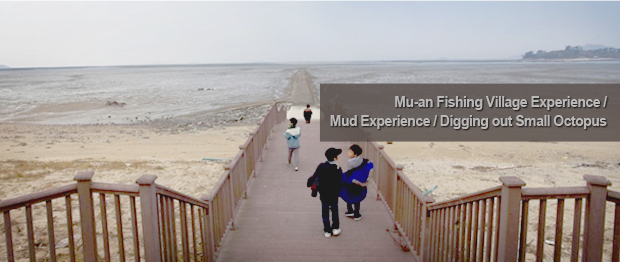 Mu-an Fishing Village Experience / Mud Experience / Digging out Small Octopus