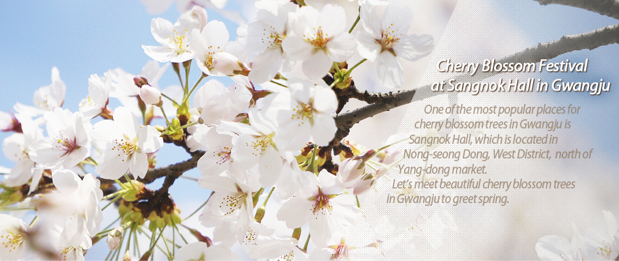 Cherry Blossom Festival at Sangnok Hall in Gwangju.