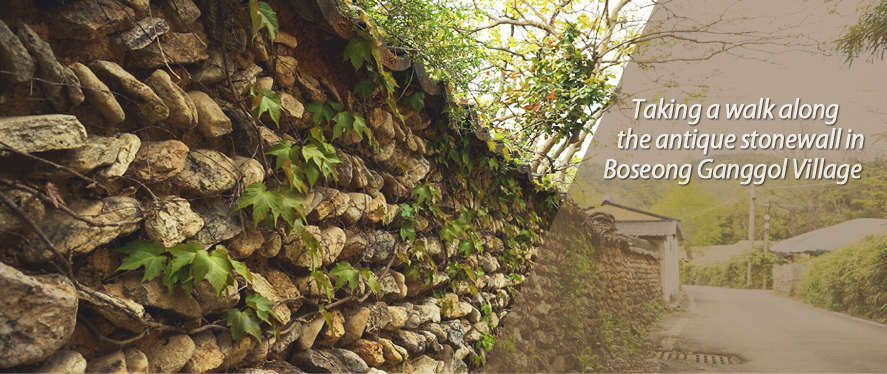 Taking a walk along the antique stonewall in ​Boseong Ganggol Village 
