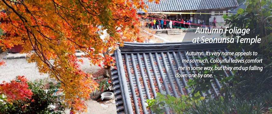 Autumn Foliage at Seonunsa Temple