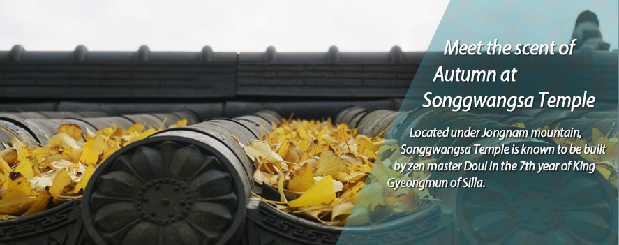 Meet The scent of Autumn at Songgwangsa Temple in Wanju-gun